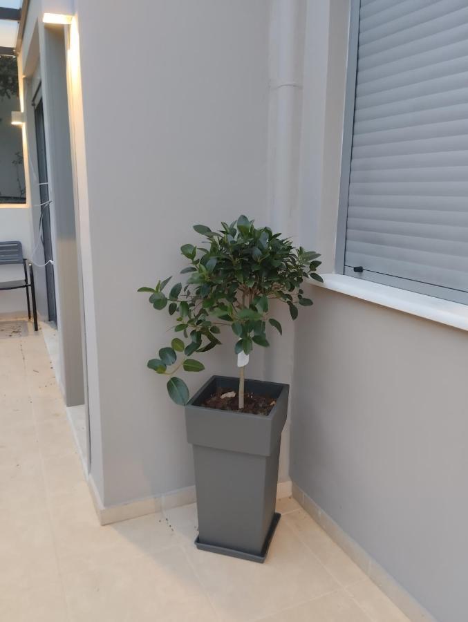 Animus Premium Apt Nafplio Bagian luar foto